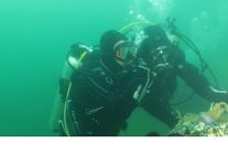 buyukakin dipten dirilis tum marmaraya yayiliyor