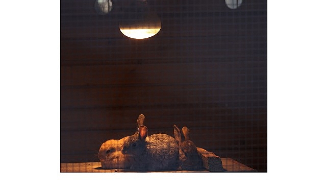 buyuksehir dogal yasam parkinda kis tedbirleri