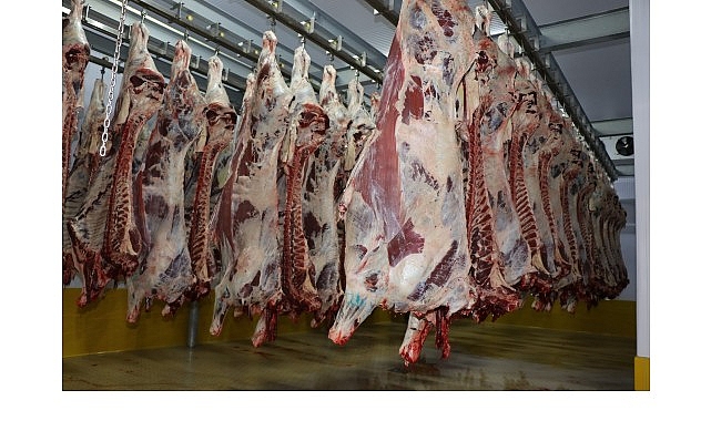 Büyükşehir Mezbahası’nda 6 bin 29 kesim yapıldı 1 buyuksehir mezbahasinda 6 bin 29 kesim yapildi