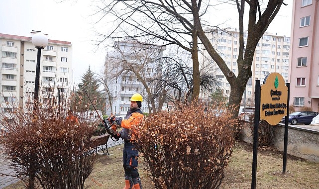 Çankaya’da Budama Çalışmaları Bahar Öncesi Hız Kazandı 1 cankayada budama calismalari bahar oncesi hiz kazandi