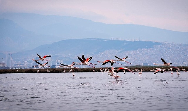 Doğa, kültür ve lezzet tutkunları yarıyıl tatilinde bu turlarda buluşacak 1 doga kultur ve lezzet tutkunlari yariyil tatilinde bu turlarda bulusacak