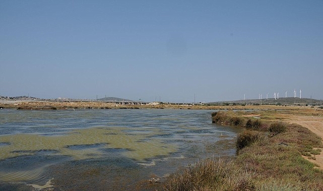 Egeli Akademisyen AB Destekli “HALO-FORCE” Projesinde yer aldı 1 egeli akademisyen ab destekli halo force projesinde yer aldi