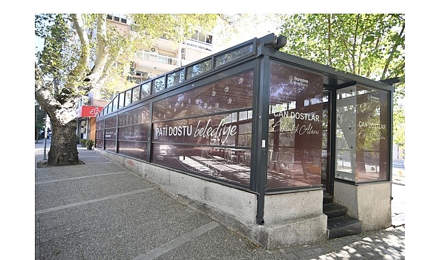 Eros Kedi Kliniği Bornova’da umut merkezi oldu 1 eros kedi klinigi bornovada umut merkezi oldu