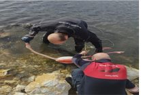 flamingoya hayat veren kurtarma operasyonu