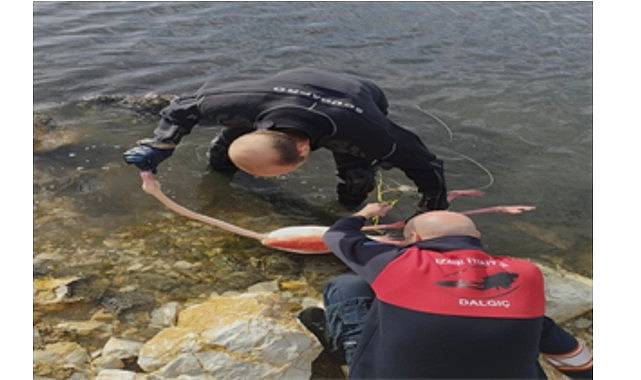 Flamingoya hayat veren kurtarma operasyonu 1 flamingoya hayat veren kurtarma operasyonu