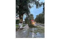 foca belediyesi ekipleri firtina ve yagisa karsi teyakkuzda