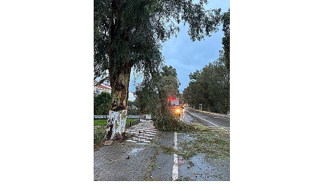 foca belediyesi ekipleri firtina ve yagisa karsi teyakkuzda