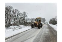 gemlikte karla mucadele