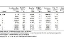 hanehalki yurt ici turizm iii ceyrek temmuz eylul 2025