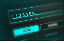 her kusagi degismeyen parolasi 123456