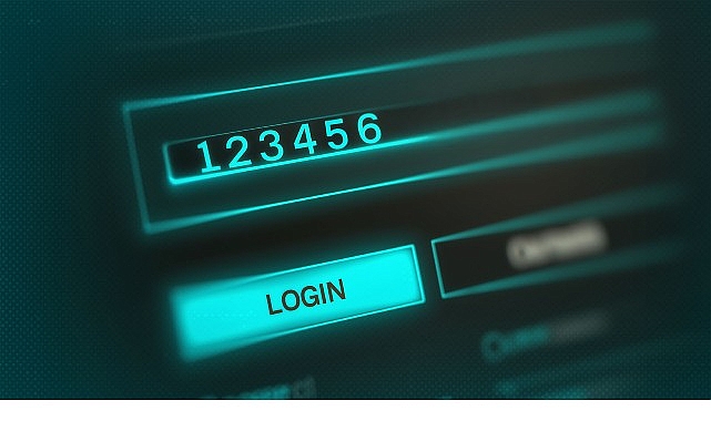 her kusagi degismeyen parolasi 123456