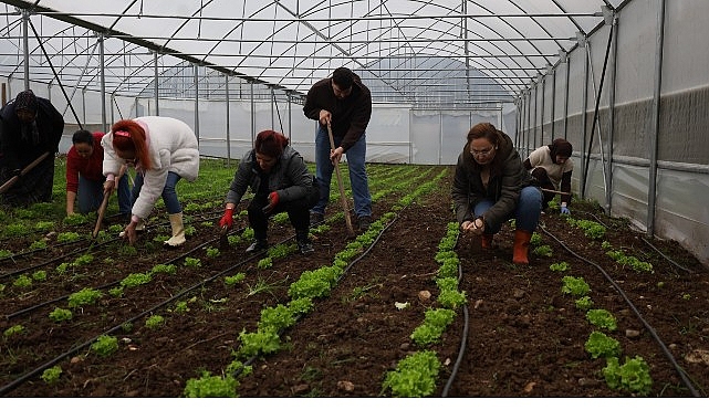 Kadın ve gençler, Büyükşehir’le tarıma kazandırılıyor 1 kadin ve gencler buyuksehirle tarima kazandiriliyor