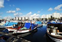 kardes kadrajlar uluslararasi fotograf yarismasina son basvuru 8 subat