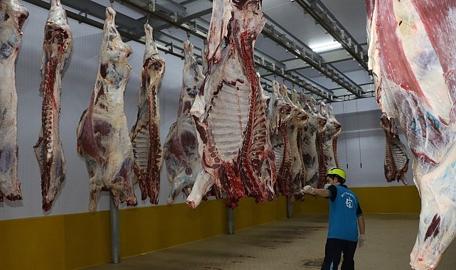 kasaplarin tercihi buyuksehir mezbahasi