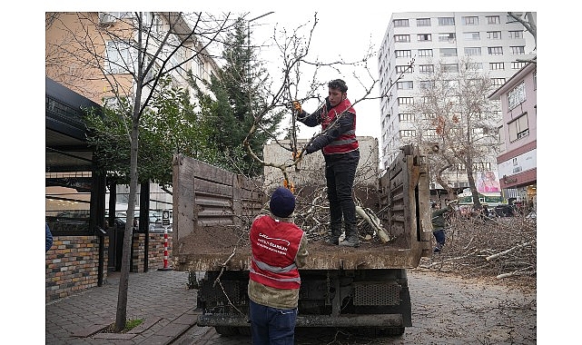 Keçiören’de Budama Çalışmasıyla Yeşil Örtü Korunuyor 1 keciorende budama calismasiyla yesil ortu korunuyor