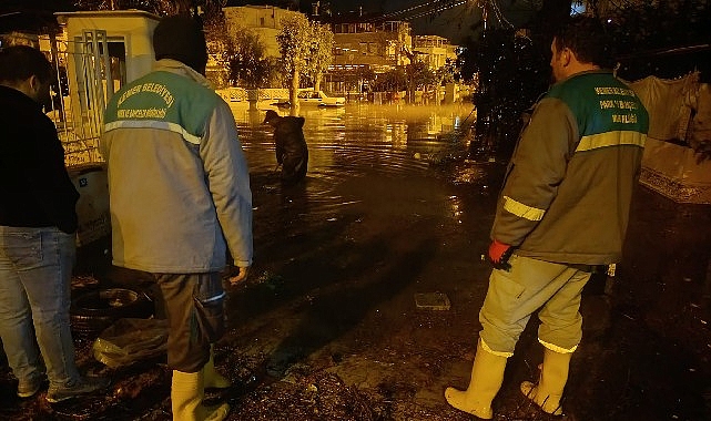 Kemer’de temizlik çalışmaları devam ediyor 1 kemerde temizlik calismalari devam ediyor