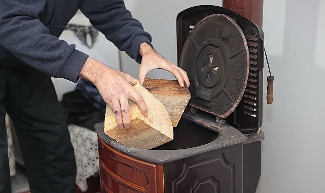 Konak’ta kış dayanışması: Budanan ağaçlar yuvaları ısıtıyor 1 konakta kis dayanismasi budanan agaclar yuvalari isitiyor