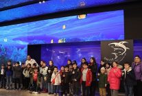 maltepeli cocuklar yariyil tatilinde su alti dunyasini kesfetti