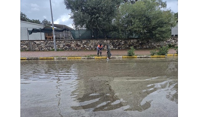 mazgallarin temizligi tum hiziyla suruyor