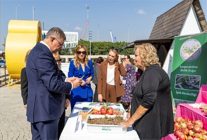 mendereste salep umudu