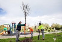 narlidere peyzaj calismalariyla guzellesiyor