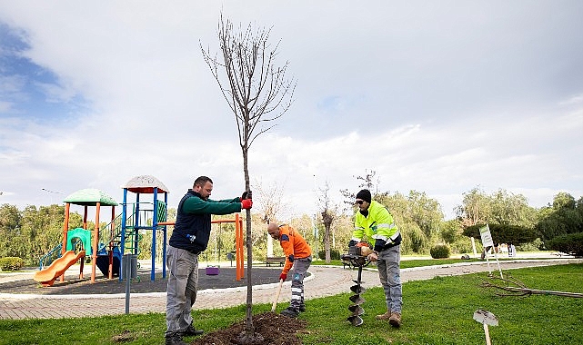 Narlıdere, Peyzaj Çalışmalarıyla Güzelleşiyor 1 narlidere peyzaj calismalariyla guzellesiyor