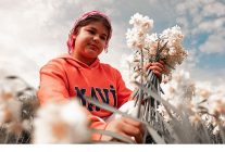 nergis kokulu festival icin geri sayim basladi bayindir turan mahallesi hazir
