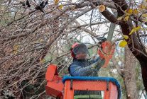 ogrenciler tatilde konak belediyesi ekipleri is basinda