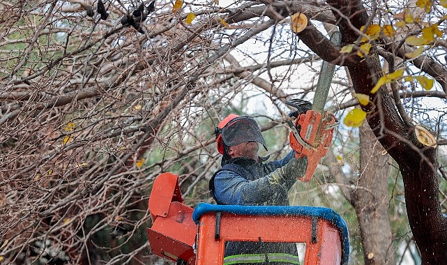 Öğrenciler tatilde, Konak Belediyesi ekipleri iş başında 1 ogrenciler tatilde konak belediyesi ekipleri is basinda