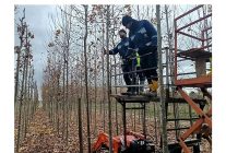 on binlerce bitki buyuksehir fidanliginda yetisiyor
