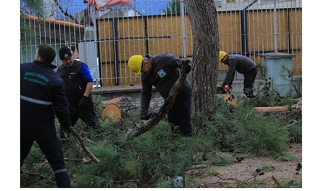 Osmangazi Belediyesi’nden Lodosa Karşı Etkin Müdahale 1 osmangazi belediyesinden lodosa karsi etkin mudahale