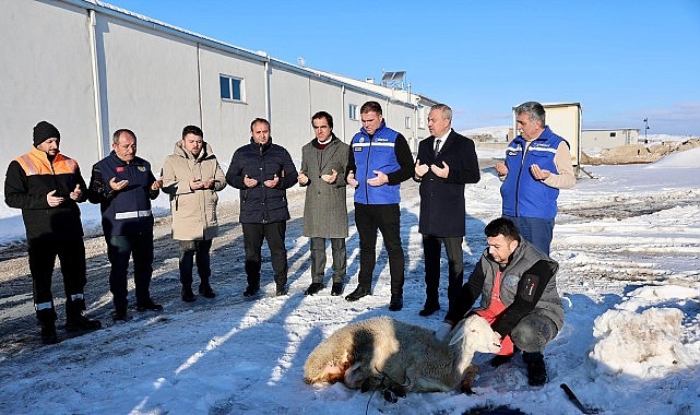 Sivas’ta Kar Yağışı İçin Şükür Kurbanı Kesildi 1 sivasta kar yagisi icin sukur kurbani kesildi