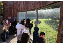 somestr menderesli cocuklara guzel