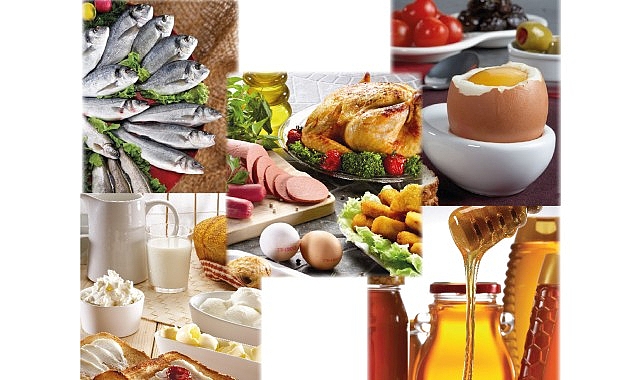 Türkiye su ürünleri ve hayvansal mamuller sektörü ihracatta 4 milyar doları aştı 1 turkiye su urunleri ve hayvansal mamuller sektoru ihracatta 4 milyar dolari asti