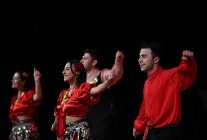 turku turku turkiyem hemdem konseri buyuk begeni topladi