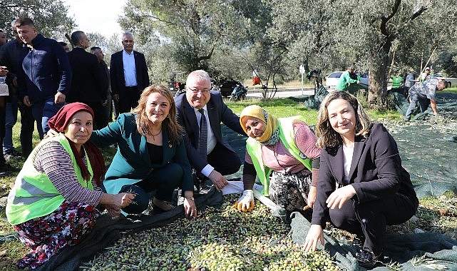 Zeytinin Başkenti Edremit’te MECİ Şenliği başlıyor 1 zeytinin baskenti edremitte meci senligi basliyor