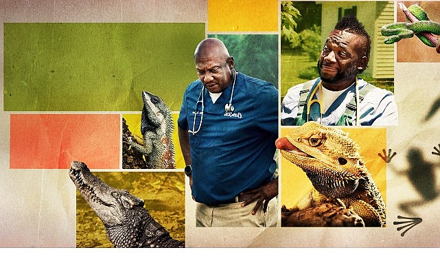 12 bolumden olusan veteriner dostlarin 5 sezonu 9 subat pazartesi saat 20 00de national geographic wild ekranlarinda basliyor