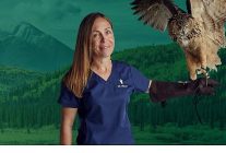 6 bolumden olusan yukon veterineri ozel 5 sezonu ile 4 11 18 subat carsamba saat 20 00de iki bolum art arda national geographic wild ekranlarinda