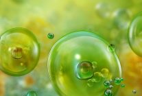 akdenizde gorulen mikroalgler ve olasi saglik riskleri