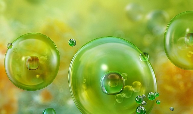 Akdeniz’de Görülen Mikroalgler ve Olası Sağlık Riskleri 1 akdenizde gorulen mikroalgler ve olasi saglik riskleri