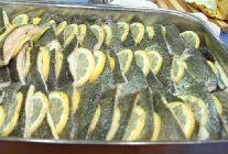 amerikalilar turk levregine hayran kaldi