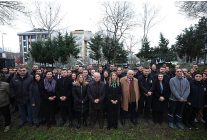 bakirkoyde 11 ili temsilen 11 zeytin fidani dikildi