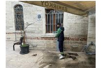 bakirkoyde camiler ramazan ayina hazirlaniyor