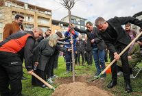 bucada 6 subatta kaybedilenler fidanlarla anildi