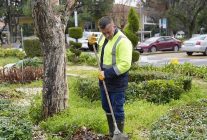 burhaniyede park ve yesil alanlar yenileniyor