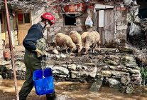 buyuksehir ekipleri tum canlilar icin ayni ozveriyle calisiyor