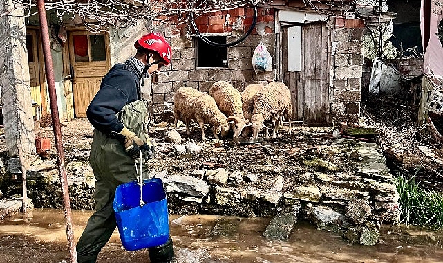 buyuksehir ekipleri tum canlilar icin ayni ozveriyle calisiyor