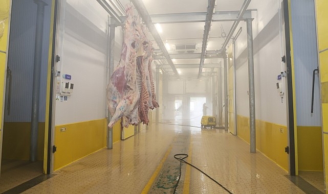 Büyükşehir Mezbahası'nda hijyenik ve helal kesim 1 buyuksehir mezbahasinda hijyenik ve helal kesim