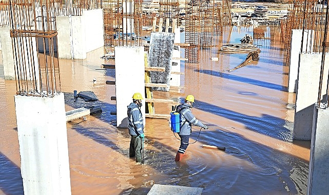 buyuksehirden hasere ve vektorlere karsi kis mucadelesi