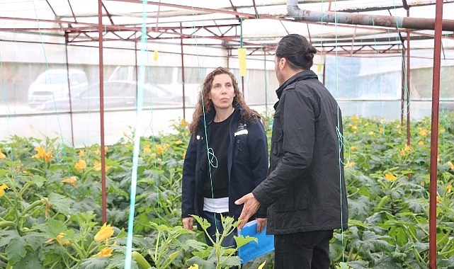 buyuksehirden hortum ve firtinadan zarar goren ureticiye sera naylonu destegi